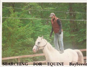 SEARCHING FOR EQUINE Baybreeze Vanity, Near Windsor, VA, 23487